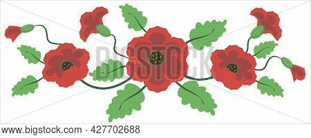 Bouquet Of Blooming Poppies And Buds With Stems And Leaves

Red Poppies Vector Banner Isolated On Wh