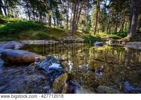 Stream With Transparent Water And Reflections Of The Forest Trees. Navacerrada.