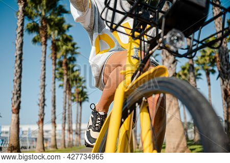 Yellow Bicycle Close-up In The Middle Of Tall Palm Trees.
