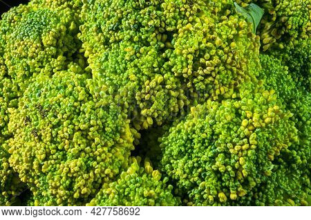 Top View Of Broccoli, Texture Of Broccoli Macro, Healthy Vegetarian Food, Close-up