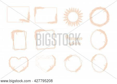 Dry Pampas Grass Set Of Frames On A White Background. Selloana. Soft Pink Color. Template For A Wedd