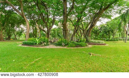 Smooth Green Grass Lawn In Good Care Maintenance Garden, Decorated With Flowering Plant, Shurb And B