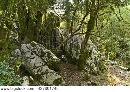 Scenery Along The Hiking Trail Trough The Llogara National Park