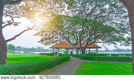 The Two Gazebo With Orange Roof Under Green Leaves Of Big Rain Tree On Green Grass Lawn And Shrub, G