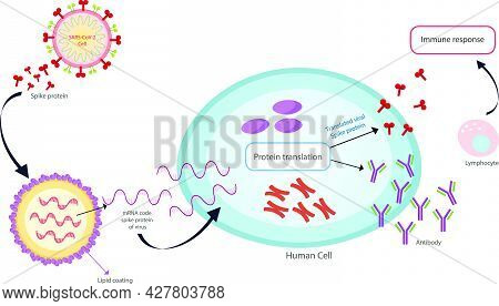 Mrna Vaccine Sars-cov-2 Vector Texture. Vaccination Protection, Medicine Healthcare Concept Vector I