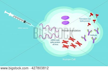 Mrna Vaccine Sars-cov-2 Vector Texture. Vaccination Protection, Medicine Healthcare Concept Vector I