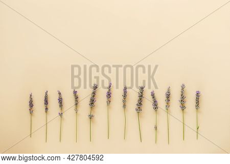 Lavender Flowers In A Neat Row On Beige Background. Top View, Flat Lay, Copy Space.