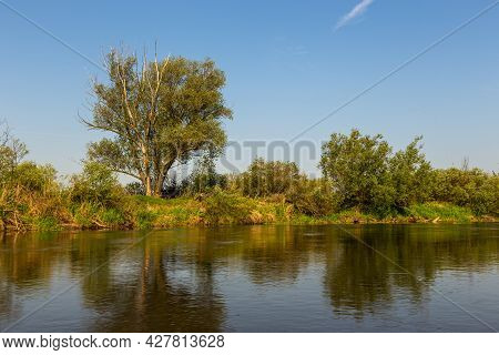 Summer Day Over Warta River In Warta Landscape Park, Poland.