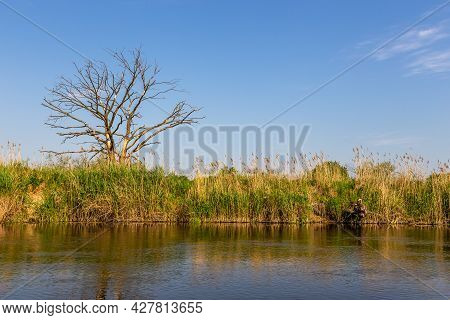 Summer Day Over Warta River In Warta Landscape Park, Poland.