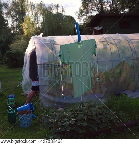 A Bogeyman Next To A Greenhouse, Twilight Summertime Shot