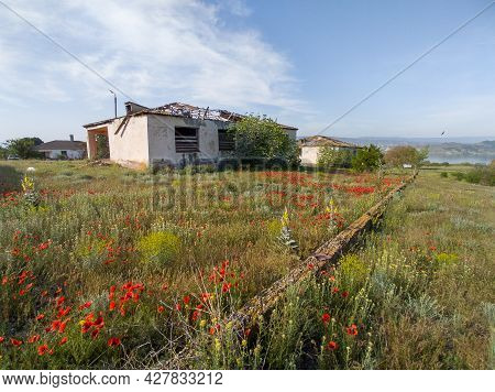 Spring Hiking In Georgia Kahetia Region In Nature Of Fields