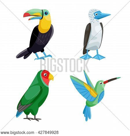Isolated Object Of Animal And Wild Sign. Collection Of Animal And Nature Stock Symbol For Web.