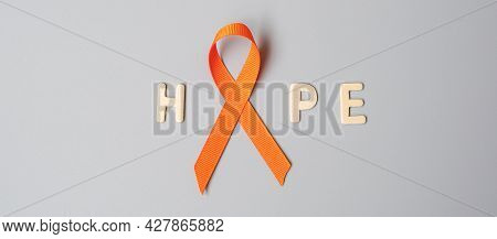 Leukemia, Kidney Cancer Day, World Multiple Sclerosis, Crps, Self Injury Awareness Month, Orange Rib