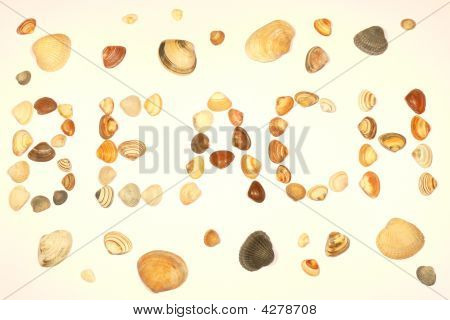 Warm Shells Beach