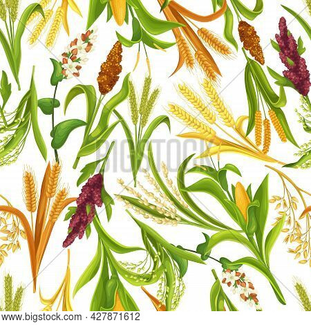 Grass Cereal Crops, Agricultural Plant Seamless Pattern, Vector Illustration. Cereal Plants Of Rice,