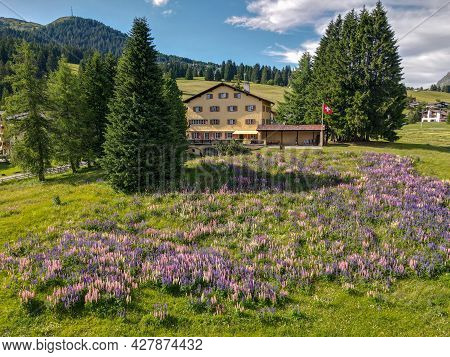Flower Garden In Front Of A House At Valbella On The Swiss Alps
