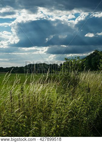 Grove In Subeams Behind A Pasture In The Interaction Of Sun And Clouds.