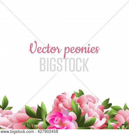 Vector Image Of A Holiday Frame Made Of Pink Peonies.