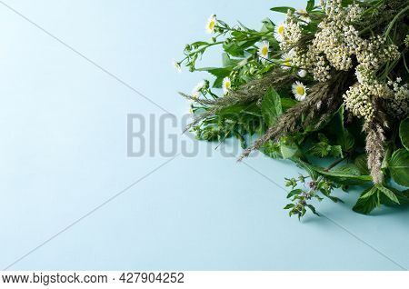 Summer Floral Background. Wildflowers - Grass, Wormwood, Melisa In A Bouquet On A Blue Background. C