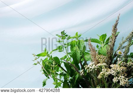 The Concept Of A Floral Plant Background. Bouquet Of Field Herbs - Wormwood, Melisa, Meadow Grass On