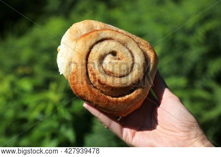 Norwegian Cuisine - Kanelbolle Cinnamon Roll. Typical Norwegian Sweet Bun.