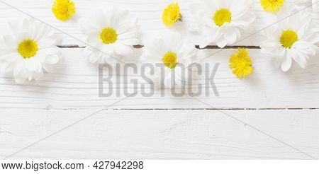 White Chrysanthemum And Yellow Coltsfoot On White Wooden Background