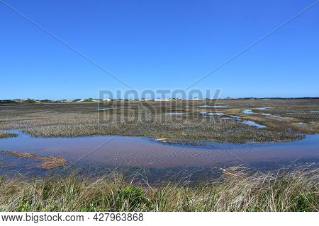 Tidal Marsh With Flowing Water In Pools.