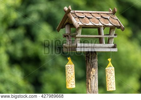 Garden Bird Feeder. Feeders For Birds In The City Park. Blurred Background. Feeding For Birds.