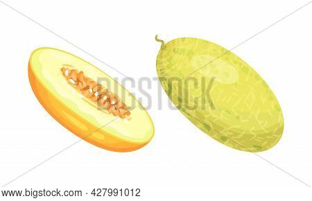 Melon Fruit With Juicy Flesh And Seeds Inside Vector Set