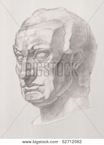 Bust Of The Statue Of Gatamelata