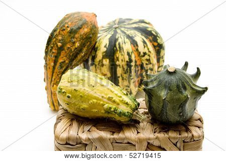 Pumpkin with phloem basket