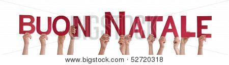 People Holding Buon Natale