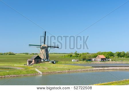 Windmill and wild flowers at Dutch wadden island Texel