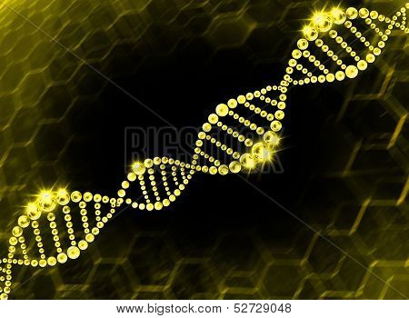 structure of the DNA molecule