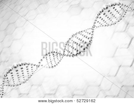 structure of the DNA molecule