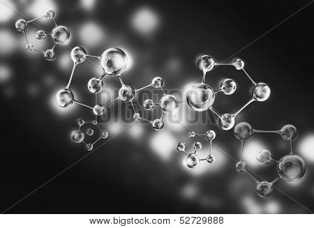 structure of the DNA molecule