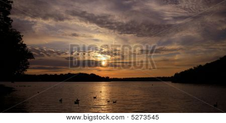 Vecchio Hickory tramonti