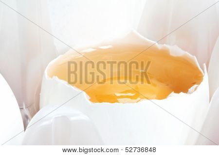 open egg