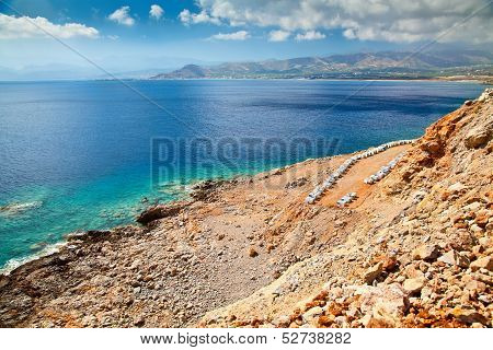 Bee-garden Near The Sea