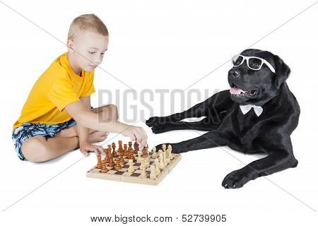 Child And Labrodor Retriever Playing Chess