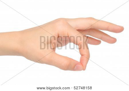 Woman hand