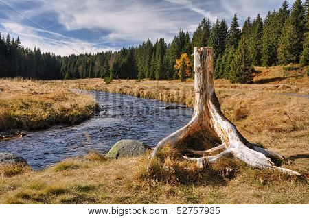 Autumn River