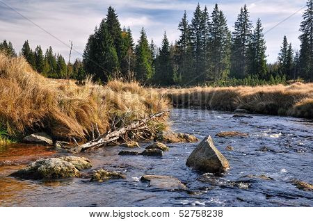 Autumn River