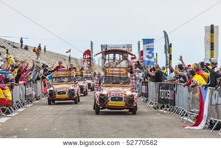 Cochonou Cars During Tour De France