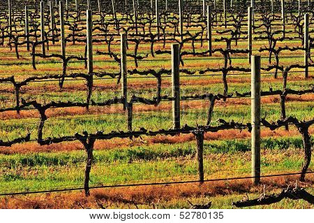 Orange And Green (and Black)