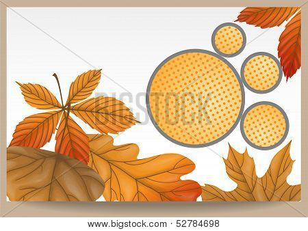 Autumn Sale.
