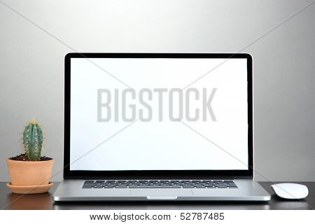 Laptop and cactus in flowerpot on wooden table on grey background