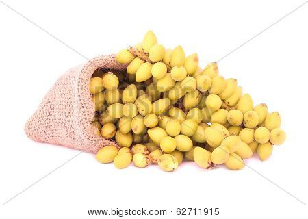 Betel Nuts
