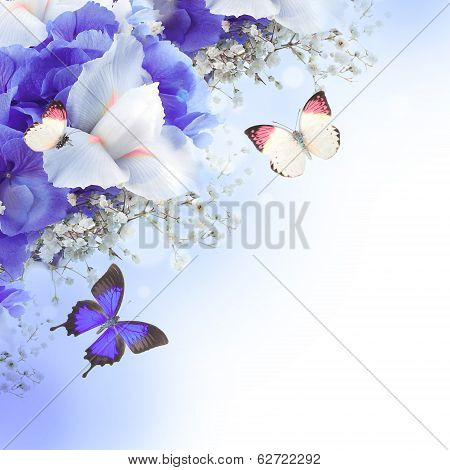 Flowers and butterfly, blue hydrangeas and white irises