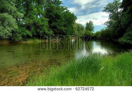 Creek in springtime